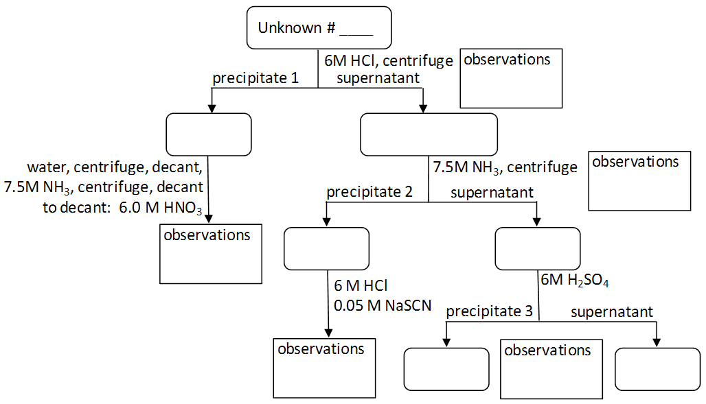 Lab 12 - Qualitative Analysis