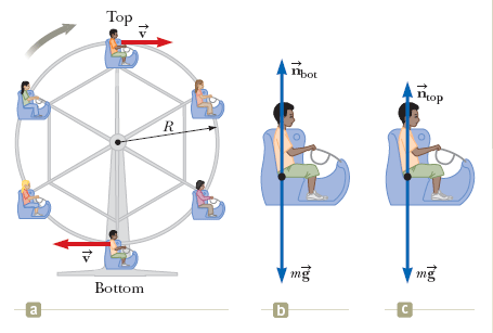 Solved: The Figure Below Shows A Ferris Wheel That Rotates... | Chegg.com