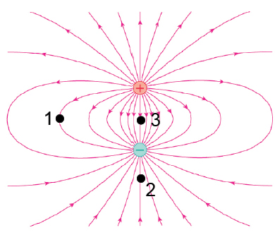 Solved: Rank The Magnitude Of The Electric Field At Positi... | Chegg.com