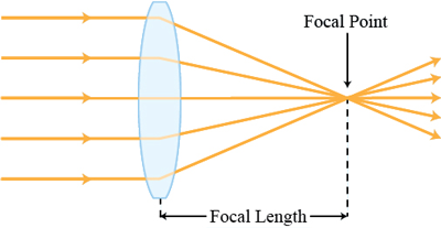 Module 8 – Optical Bench