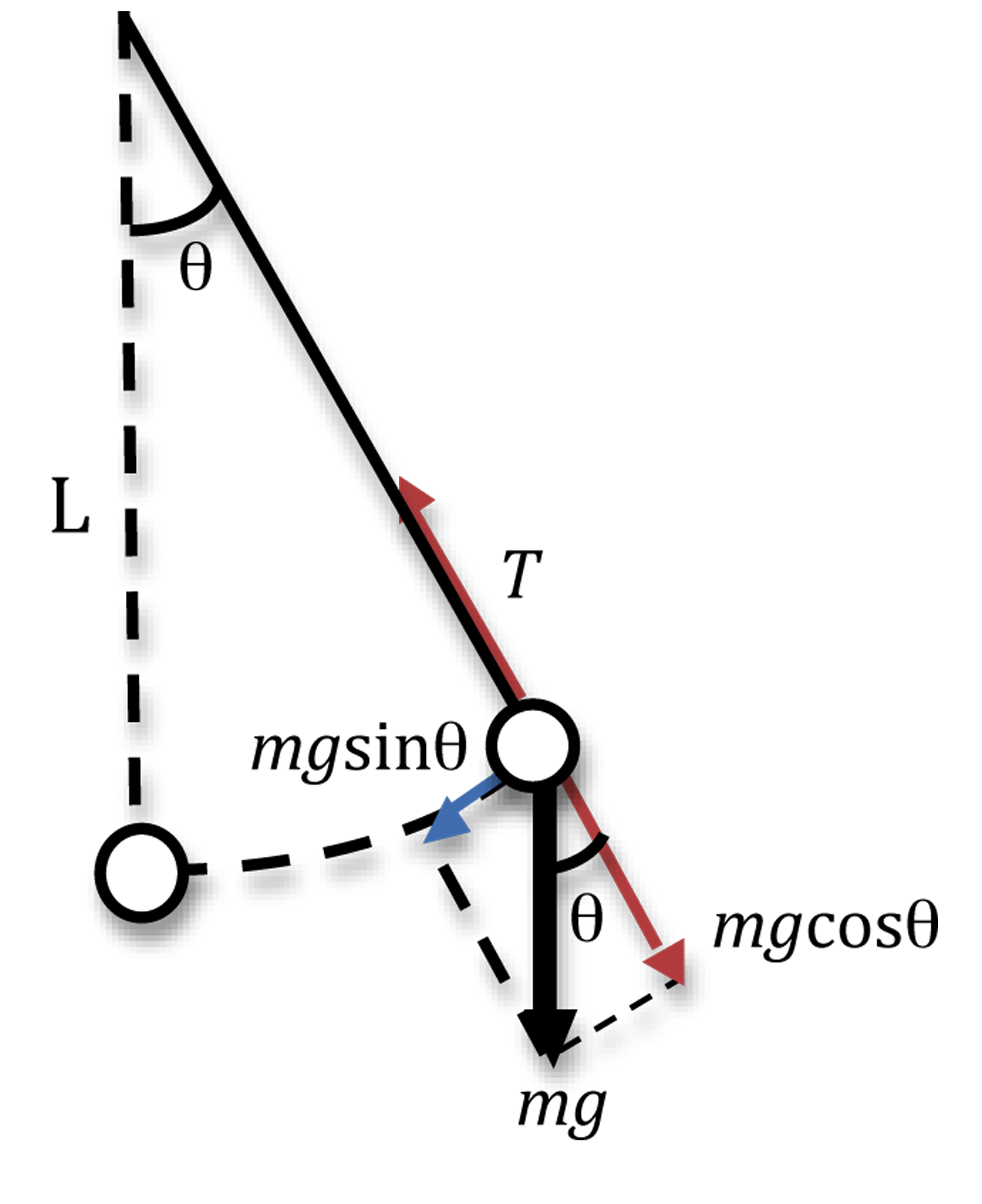 Diagram of the pendulum moving. Length of the string is denoted by L; the angle of the string's displacement is noted by theta. The vector towards the stand is given by T; vector away from the stand is given by mg cosine theta; the vector down is labeled mg; the vector towards the pendulum's original location is mg sine theta. The between mg and mg cosine theta is labeled as theta.