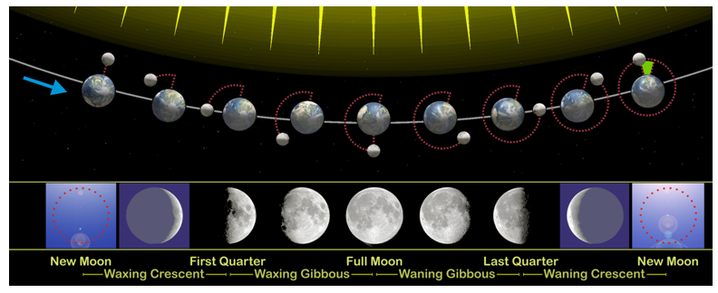 1.9 Lunar Phases