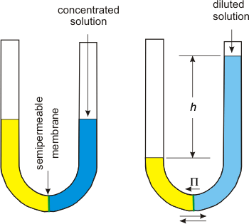 Chapter 2 – Solutions