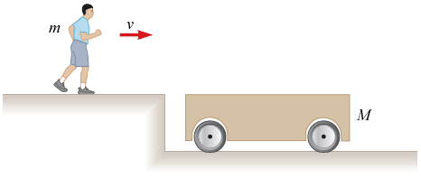 Solved: An M = 69.0-kg Person Running At An Initial Speed ... | Chegg.com