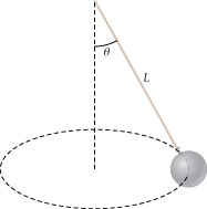 Solved: A Conical Pendulum Is A Weight Or Bob Fixed On The... | Chegg.com