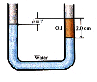 Solved: A U-shaped Tube Open At Both Ends Contains Water A... | Chegg.com